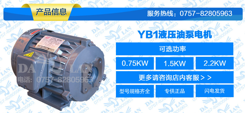 YB1-01