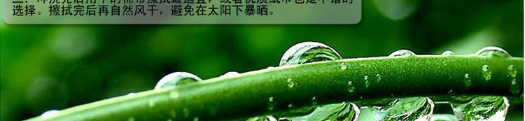 打氣陽具_05