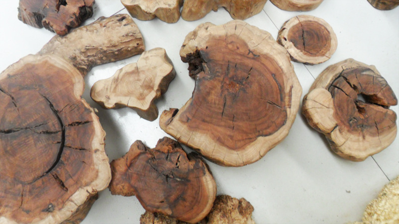 枣木是多年生木本植物,质地坚硬密实,木纹细密.