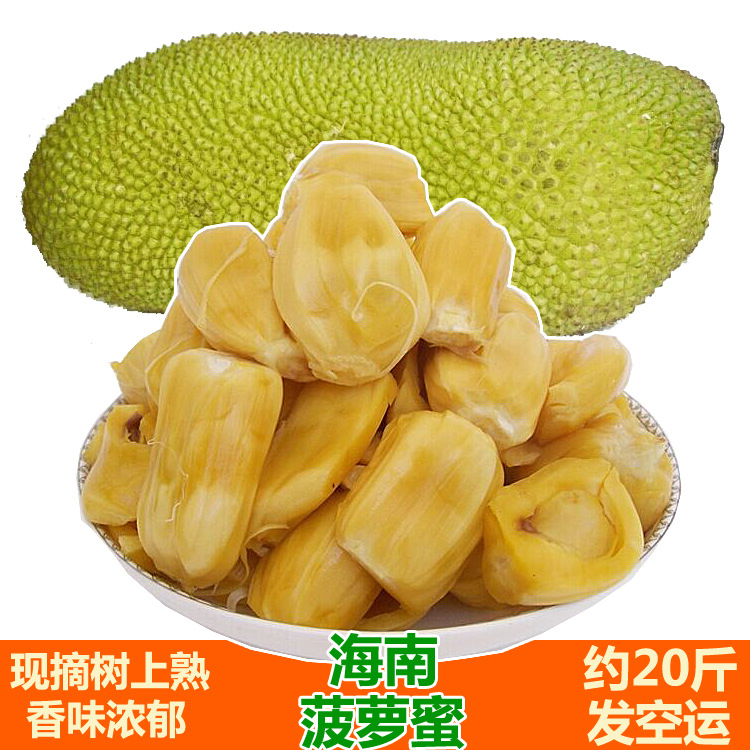 海南菠萝蜜 新鲜热带水果 马来品种 果肉大甜 菠萝约20斤/个包邮