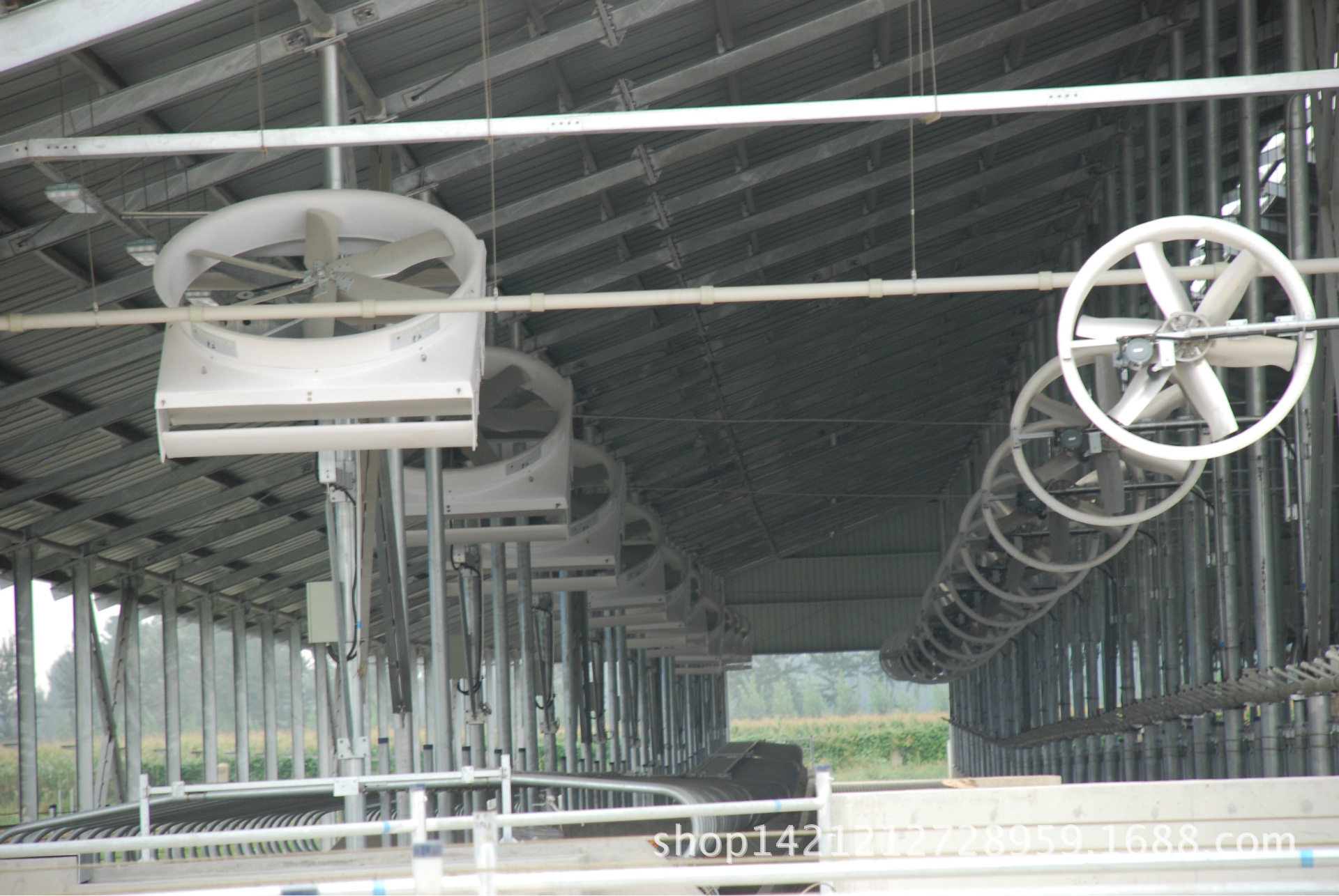 奶牛场现场安装后照片1