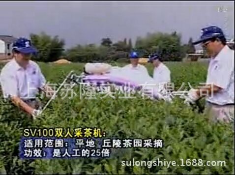 浙江川崎SV100-120 双人弧形采茶机