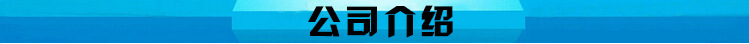 公司介绍