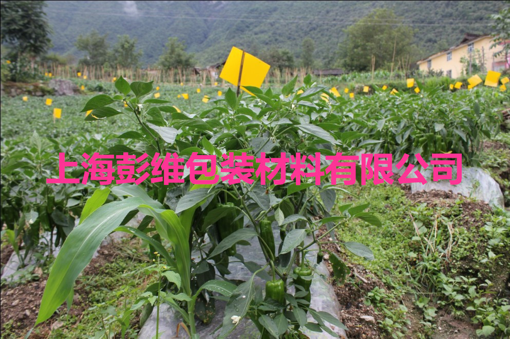 1460927632_2022393268_副本