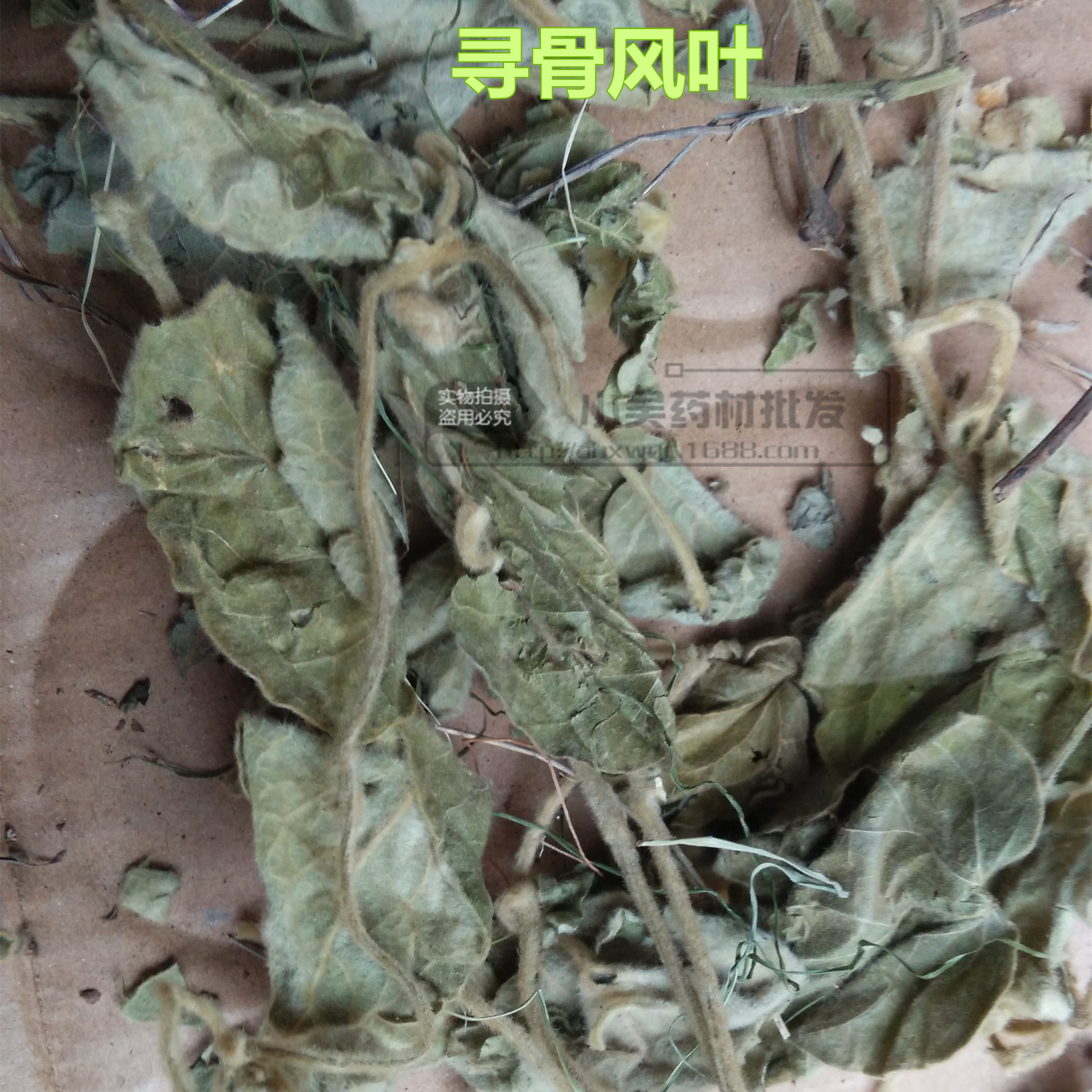 【别名】清骨风,白面风,黄木香,白面虎 乌脚鸡 山白芷 用于风湿痹痛