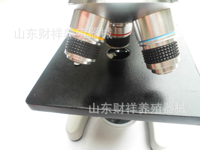 CIMG3351