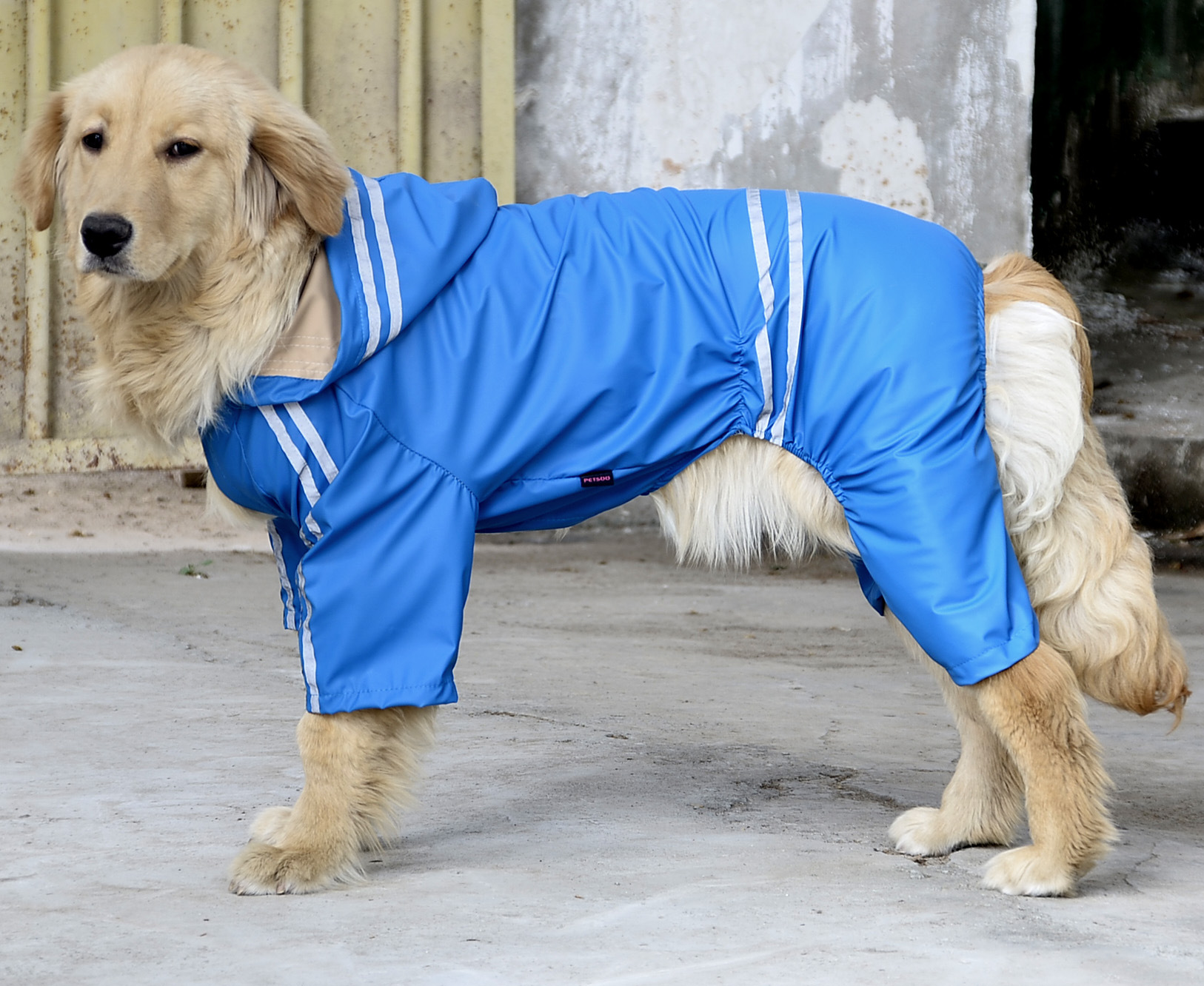 狗衣服款式:宠物雨衣四脚 宠物狗外套 宠物服装颜色:红色,黄色,蓝色