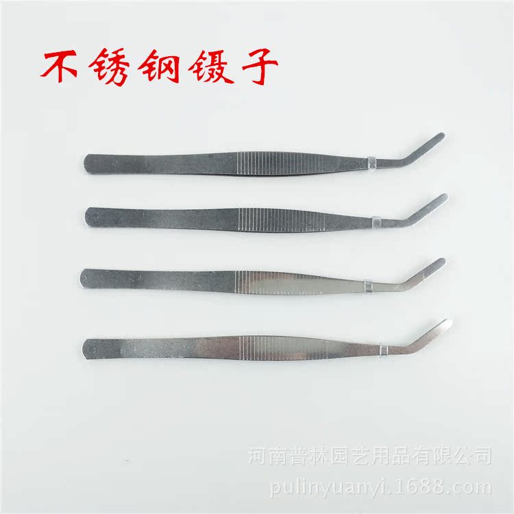 镊子1