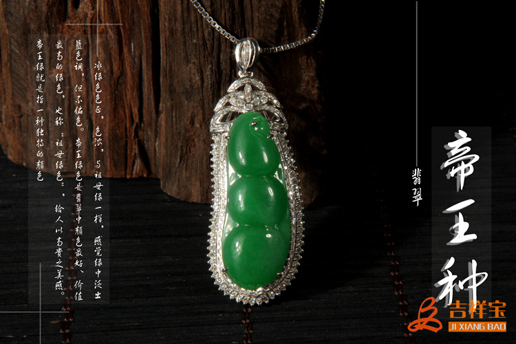四季豆 (8)