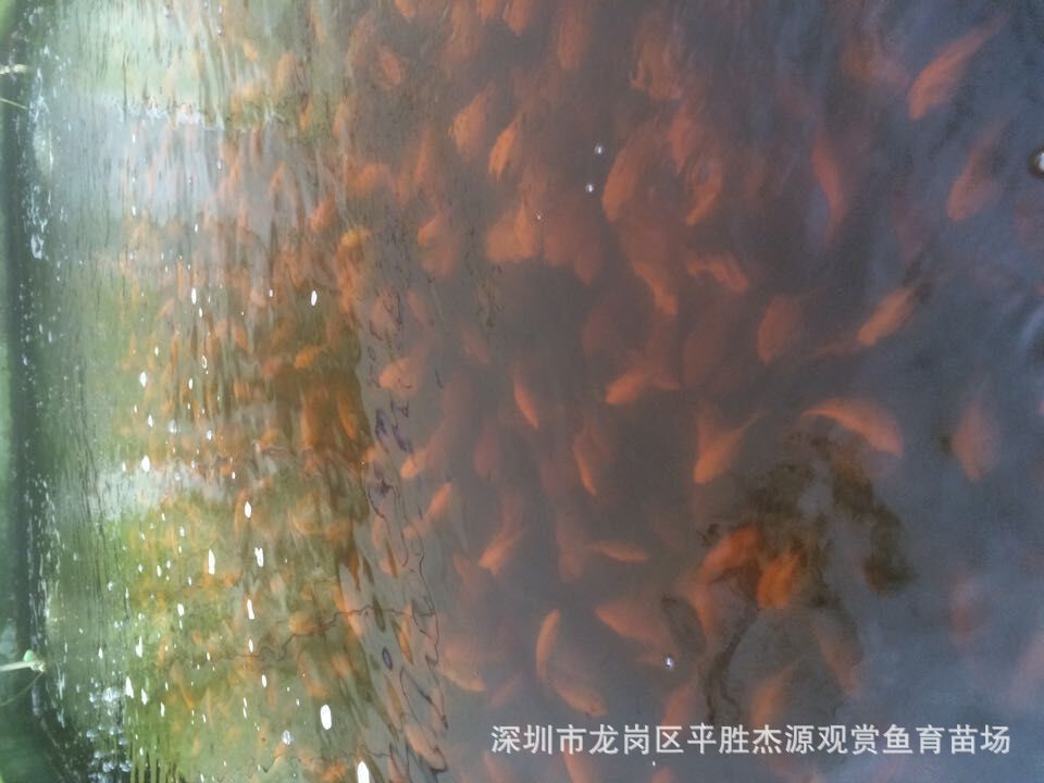 QQ图片20150106195417