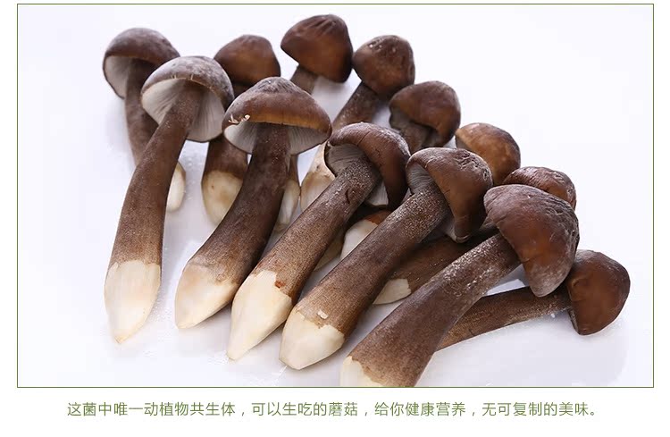 ؼ ʺƤ Ӫʳ ʾ Ⱦ 1000g