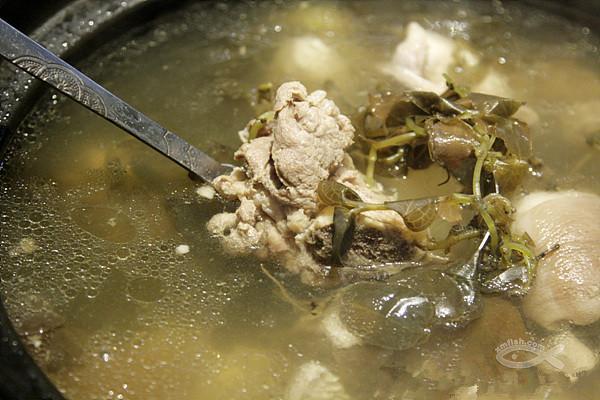 金线莲炖排骨的做法