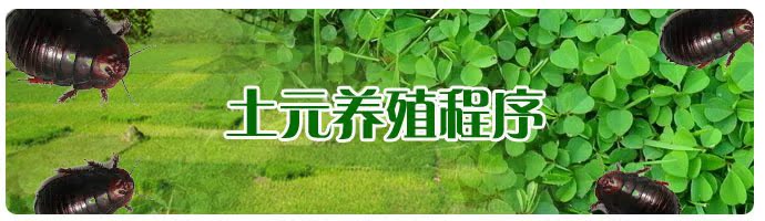 缅甸和记娱乐网址养殖2015 undefined