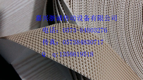 环纹颗粒带