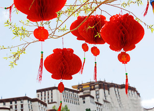 纸灯笼 小灯笼 春节 过年灯笼 婚庆 喜庆 塑纸 礼球 批发