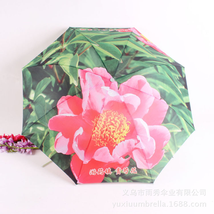 雨秀伞业 yuxiuumbrella