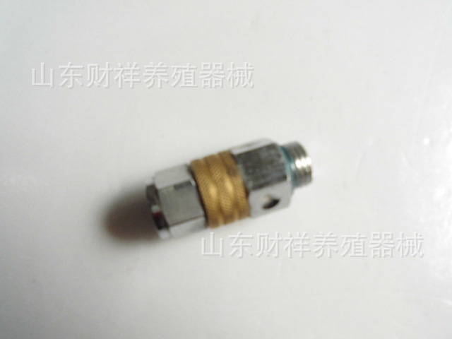 CIMG2750