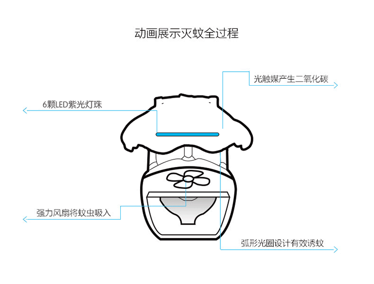 TB2Rlc_cXXXXXbzXXXXXXXXXXXX-21