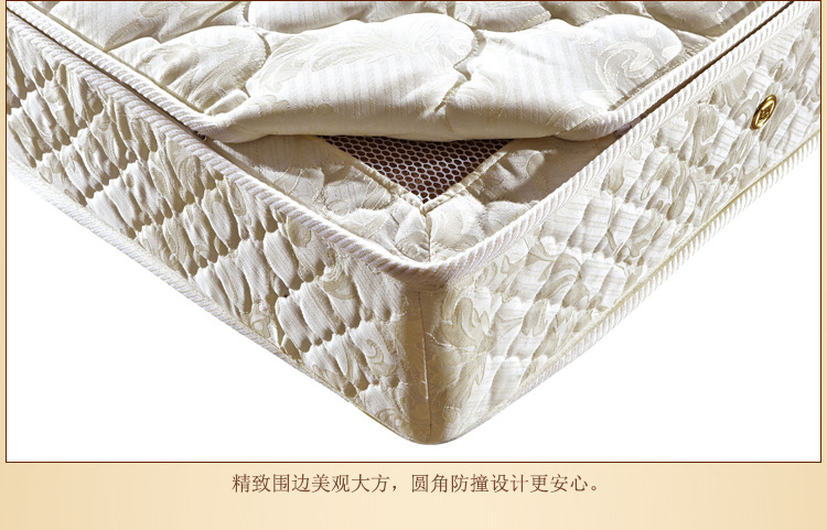 厂家直销 针织面料弹簧椰棕床垫 席梦思弹簧床垫 22cm厚弹簧床垫