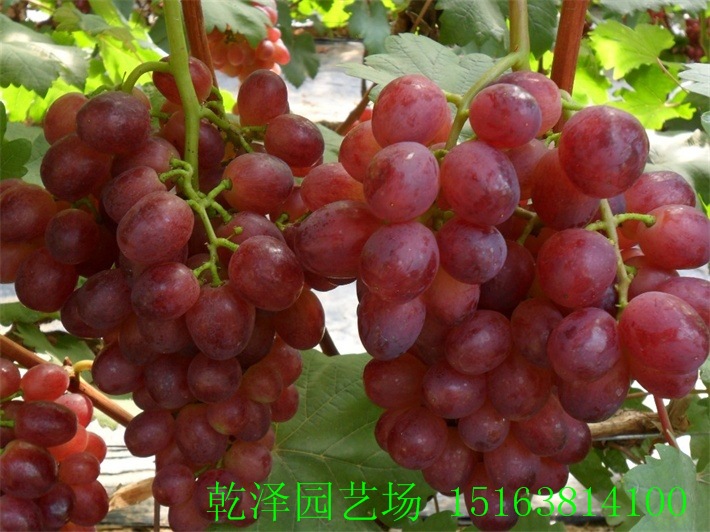 57119_20120915101132