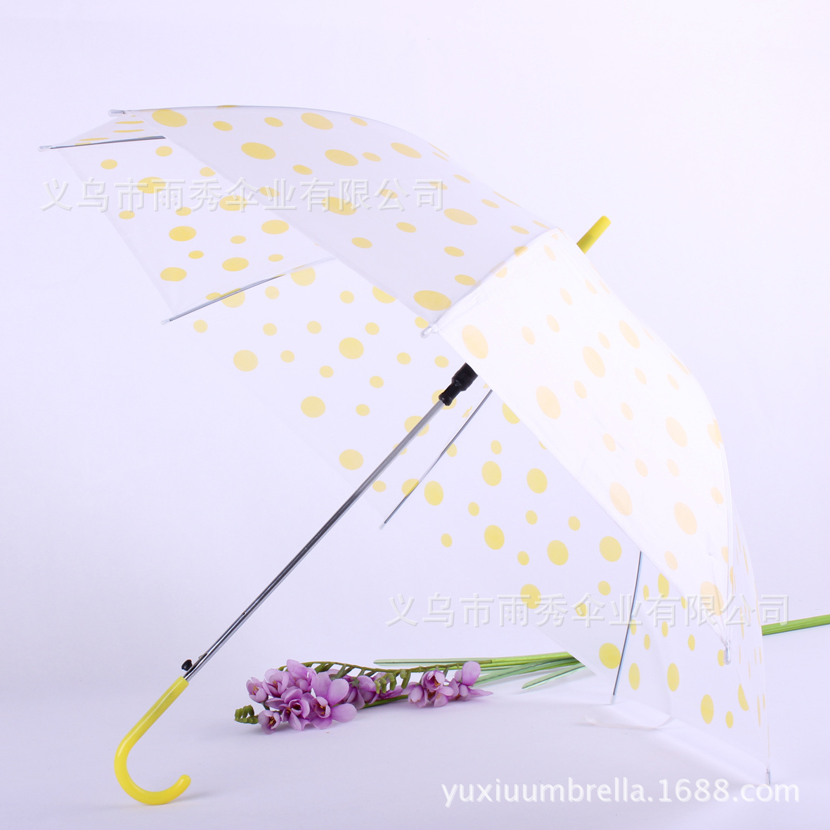 雨秀 圆点泡泡EVA 通明伞 环保伞 雨伞现货批发