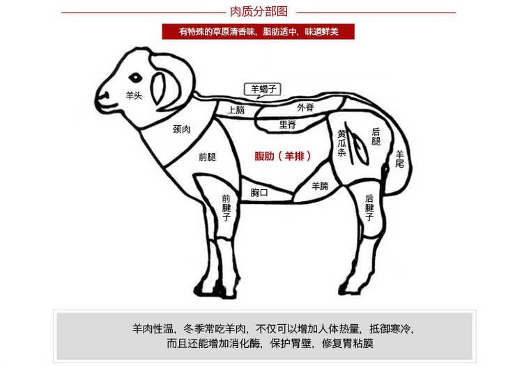 生肉,简加工肉类 其他肉类 经销批发澳大利亚进口羊排 羔羊排冷冻羊肉