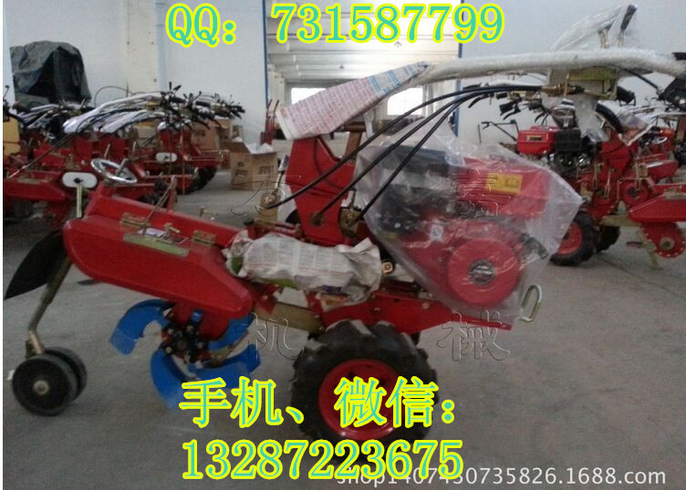 QQ图片20150530082223_副本