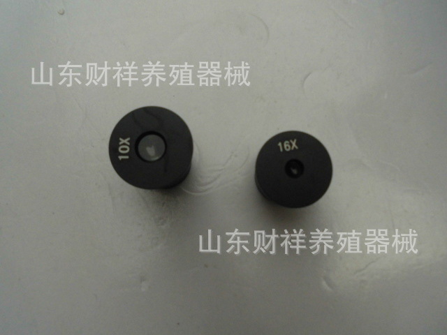 CIMG3355