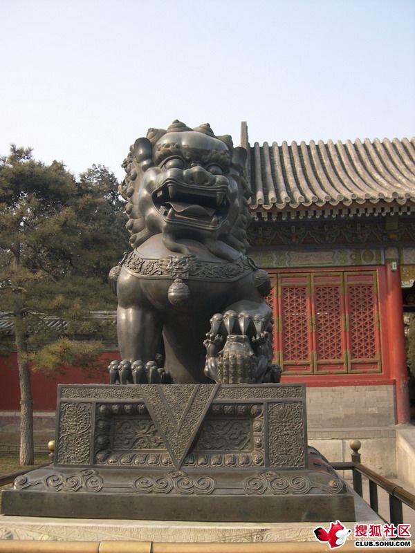 2be63bf562647f4662e7bf48549ad7