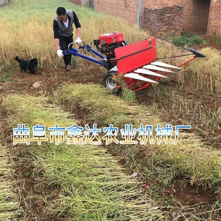 小型手扶割晒机 稻麦微型割晒机 葫芦岛市除草机
