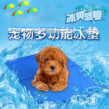 長期供應 pvc尼龍降溫冰墊 夏季冰爽冰涼墊 多功能冰坐墊