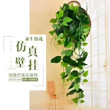 廠家批發壁掛裝飾仿真藤條 綠植掛壁牆飾綠蘿吊籃吊蘭假植物藤條