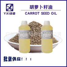 供應 丹麥胡蘿卜籽油  8015-88-1  基礎精油  天然植物萃取