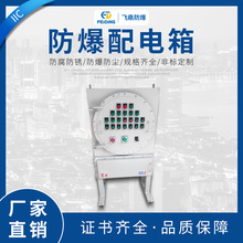 飛鼎 IIC防爆配電箱 不銹鋼防爆配電箱 防爆照明動力箱防爆檢修箱