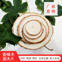 香樟木圓木片工藝品 樟木幼兒園DIY藝術畫創作木塊圓木片
