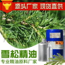 雅至單方精油批發  純植物雪松精油 精油原料廠家OE M