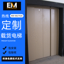 廠家直銷載貨電梯 貨運電梯 客貨電梯 貨物電梯 拉貨電梯上門安裝