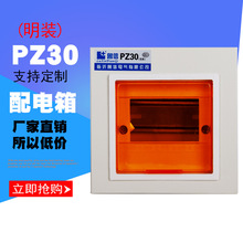 家用回路箱 PZ30照明配電箱 明裝強電開關盒 非標配電箱