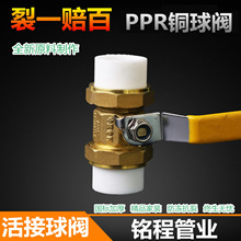 批發PPR雙活接銅球閥 ppr銅球閥全銅活節球閥 閘閥水暖管專用球閥