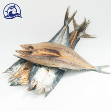 產地貨源風干鮁魚馬鮫魚干鮁魚干500克魚類制品海鮮干貨批發咸魚