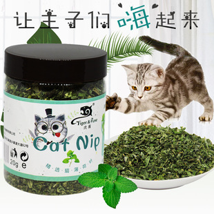 »ޱ؈ɾxcatnip20g؈؈Z؈ʳ坍ǻë280ml