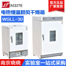 天津泰斯特WGLL-30/45/65/125BE 電熱恆溫鼓風干燥箱/實驗室烘箱