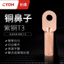 現貨DT銅鼻子紫銅接線端子線耳線鼻子電纜終端T3標准堵油鼻