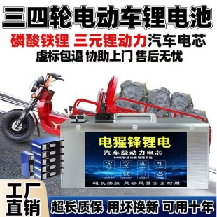 廠家直銷寧德正品二三四輪電動車磷酸鐵鋰三元鋰電池超大容量蓄能