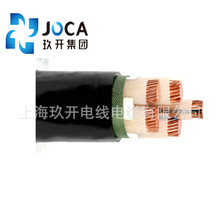 WDZC-YJYRP22 0.6/1KV 交聯銅芯低煙無鹵鎧阻燃軟電纜線南網/國網