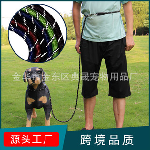 羳¿Dog Leash֠бϵpַ⹷KpKһwK