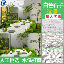 白石子造景白米石白石子鋪地白石頭鵝卵石枯山水園林造景白礫石