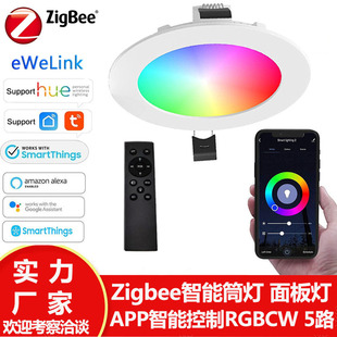 zigbee3.0ͲRGBCCT{ZAlexaֱBGoogle Hue֧־WP