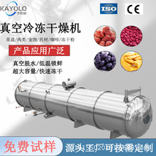 50㎡中大型水果商用工業級凍干機器蔬菜真空冷凍干燥機中草葯設備