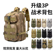 戶外驢友大容量登山包旅行包雙肩背包亞馬遜跨境迷彩3P戰術背包
